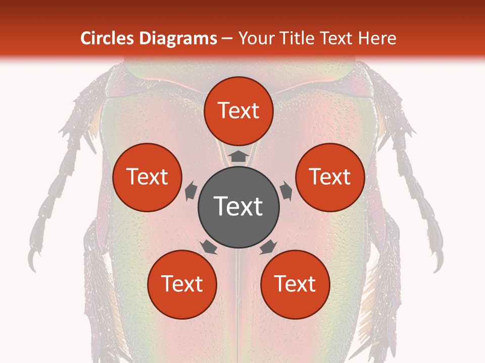 Potosia Scarab Scarabaeoidea PowerPoint Template