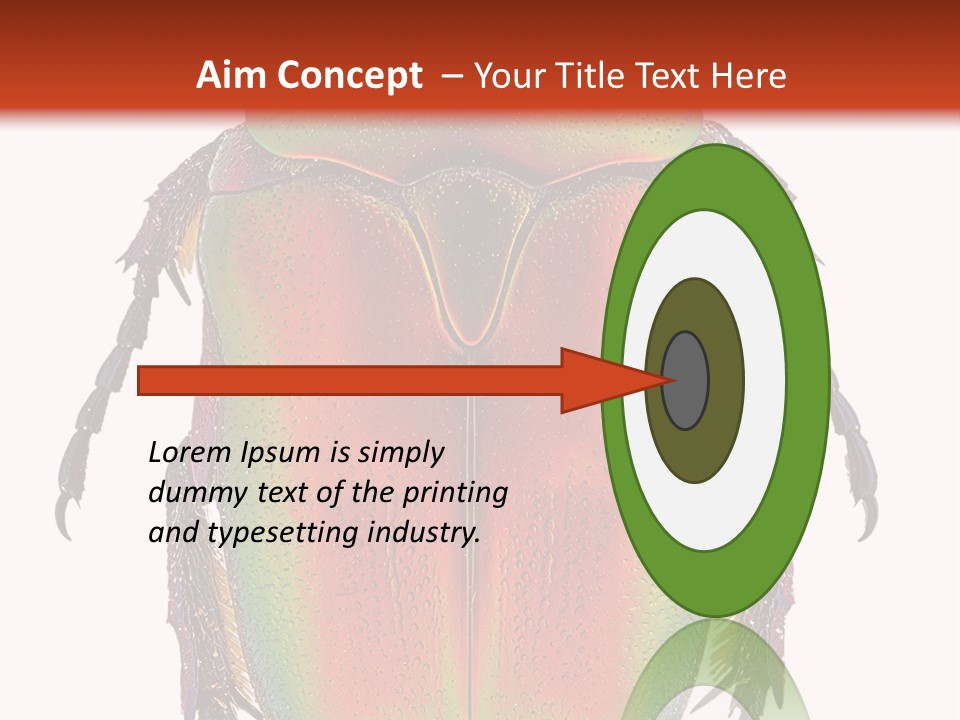 Potosia Scarab Scarabaeoidea PowerPoint Template