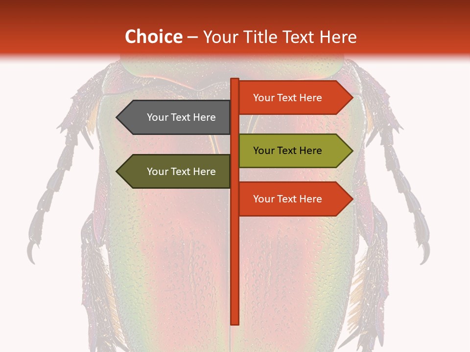 Potosia Scarab Scarabaeoidea PowerPoint Template