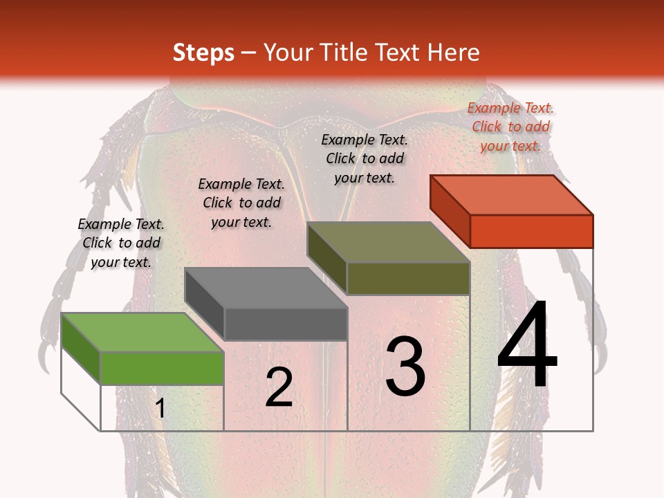 Potosia Scarab Scarabaeoidea PowerPoint Template