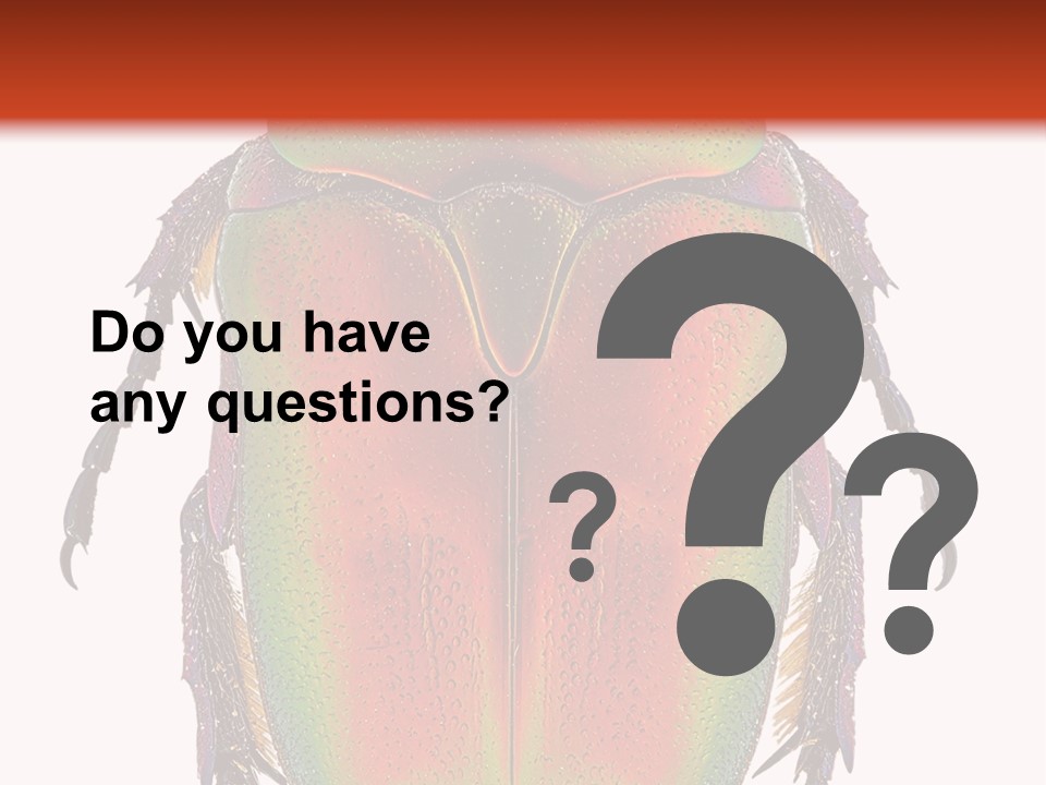 Potosia Scarab Scarabaeoidea PowerPoint Template