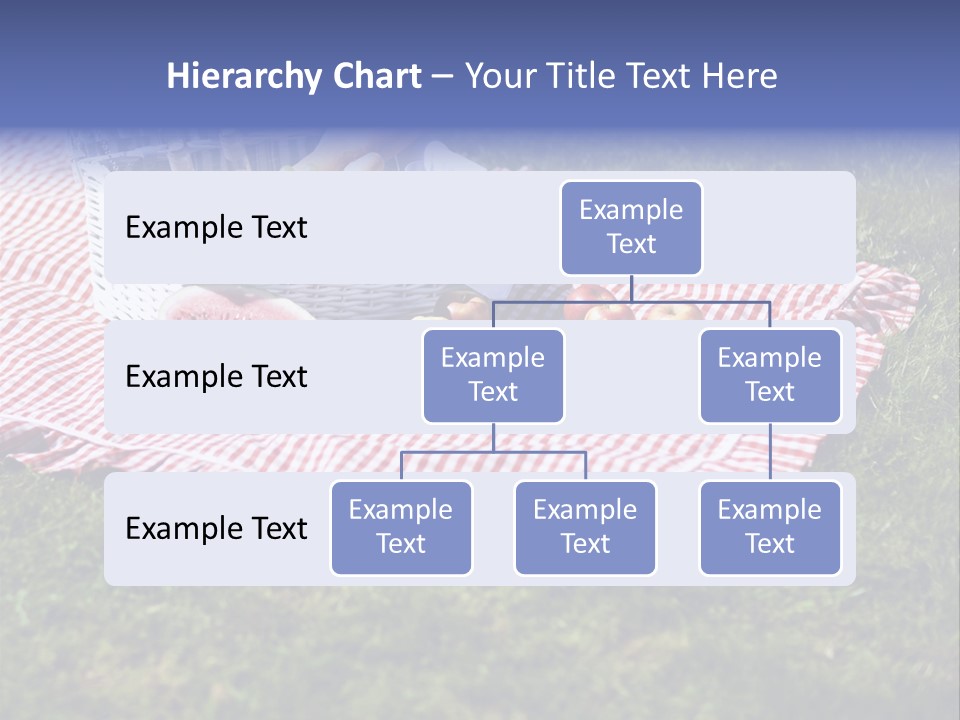 Cane Wine Picnic PowerPoint Template
