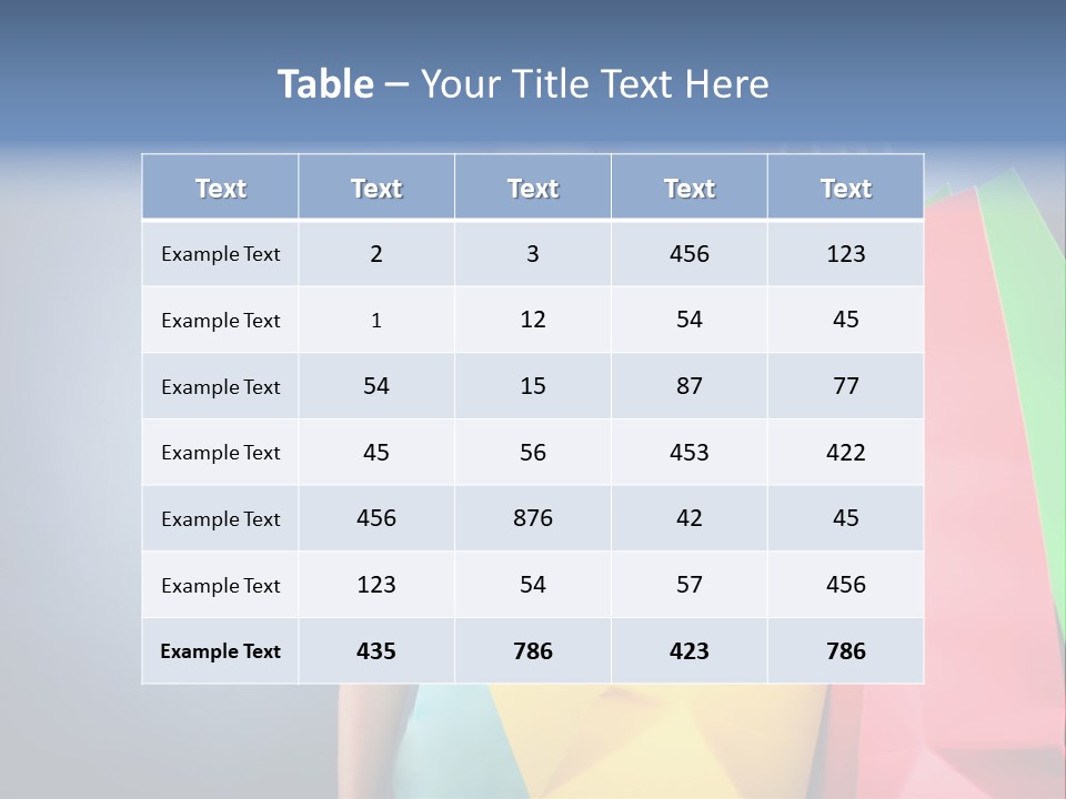 Woman Business Bag PowerPoint Template