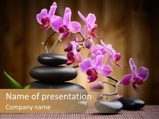 Grove Close Up Orchid PowerPoint Template