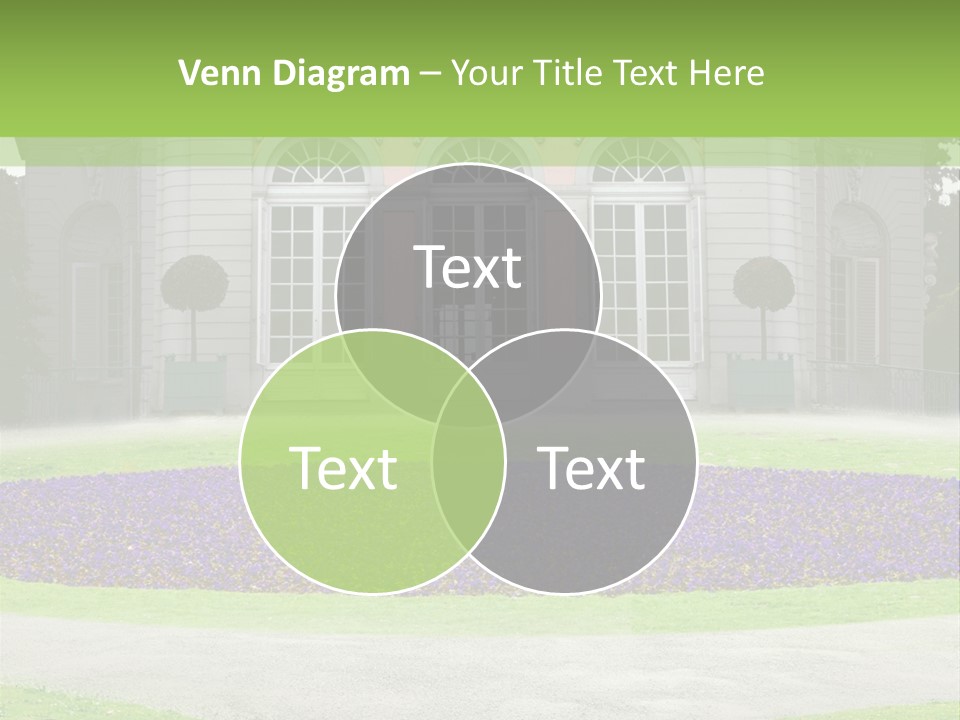 Dor Road Violet PowerPoint Template