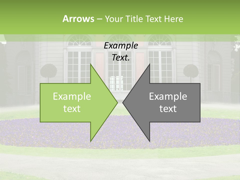Dor Road Violet PowerPoint Template