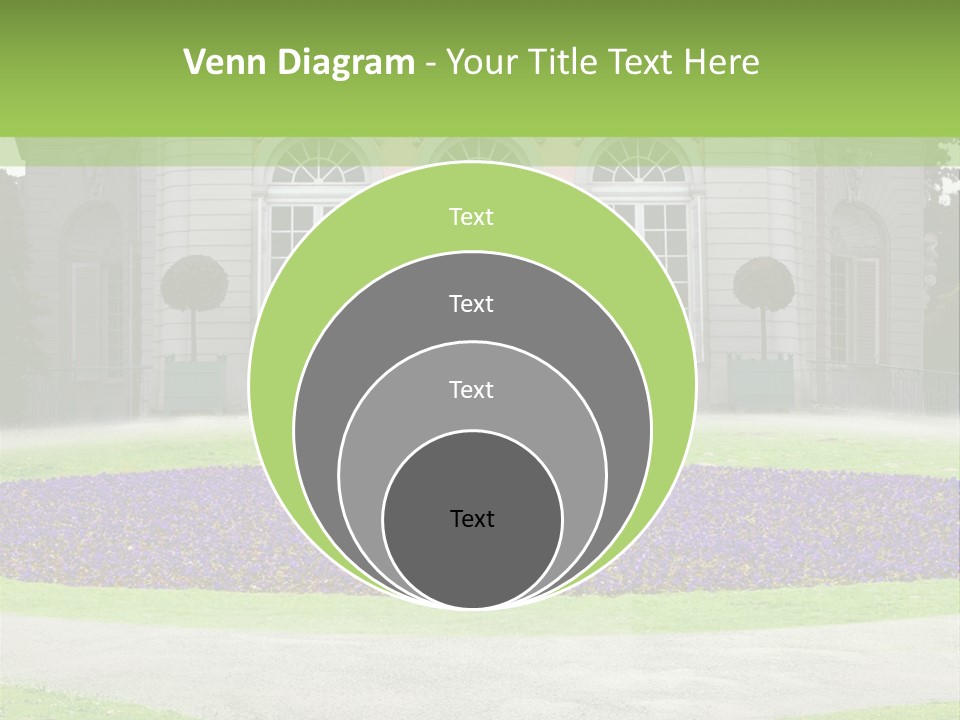 Dor Road Violet PowerPoint Template