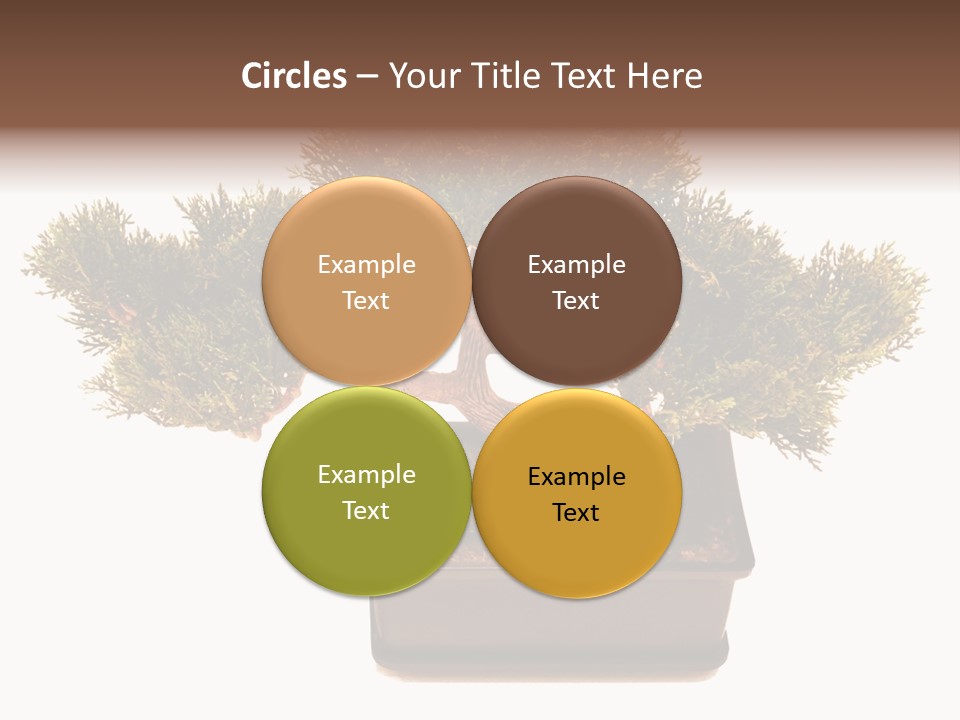 Tree Branch Plant PowerPoint Template