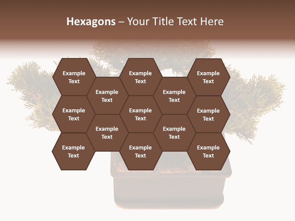 Tree Branch Plant PowerPoint Template