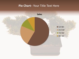 Tree Branch Plant PowerPoint Template