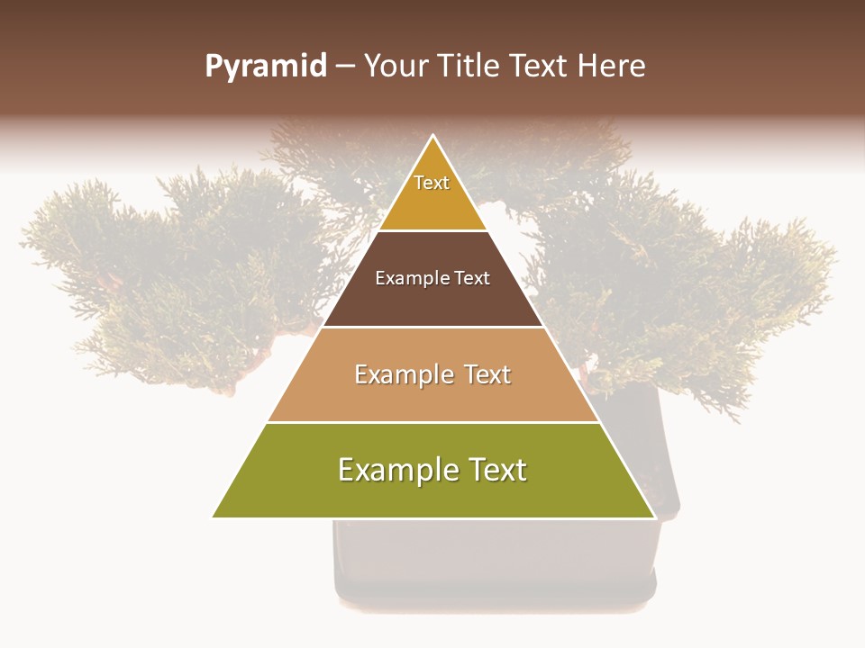 Tree Branch Plant PowerPoint Template