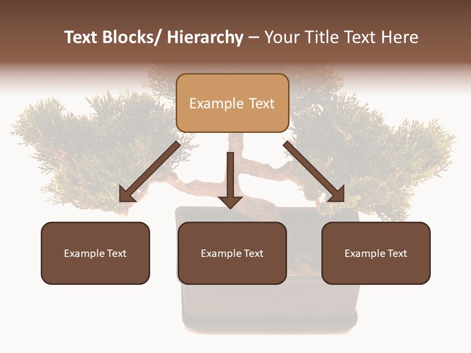 Tree Branch Plant PowerPoint Template