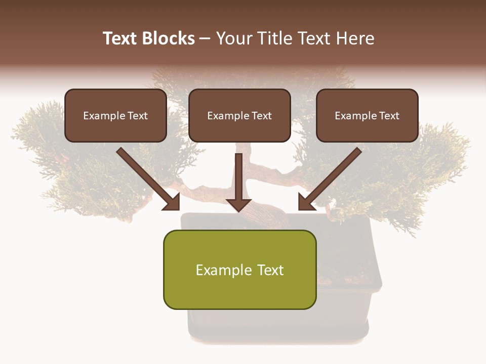 Tree Branch Plant PowerPoint Template
