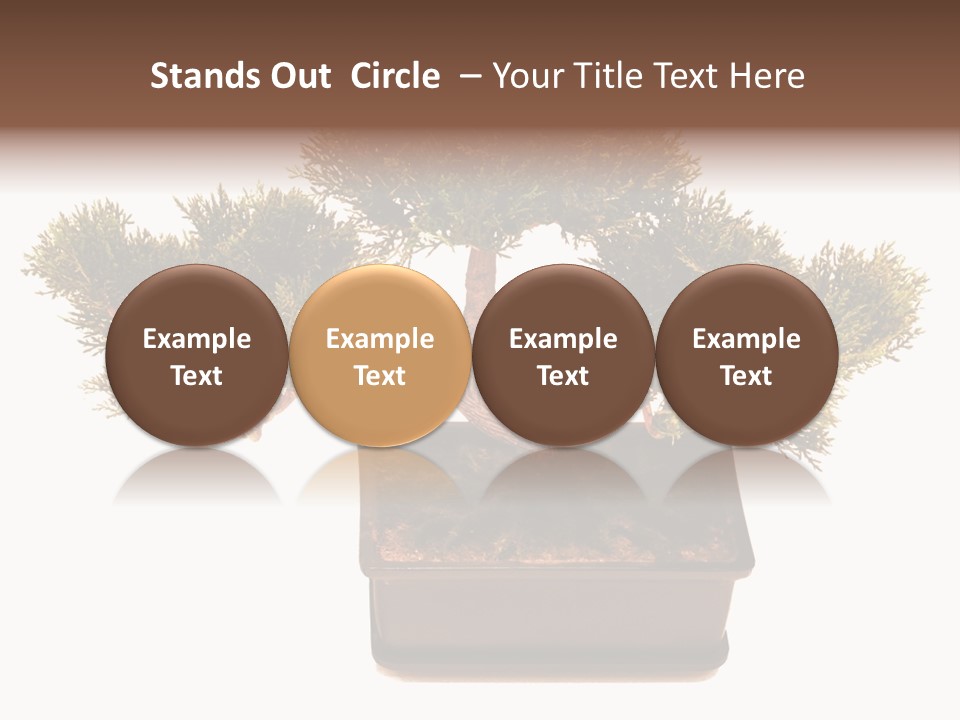 Tree Branch Plant PowerPoint Template