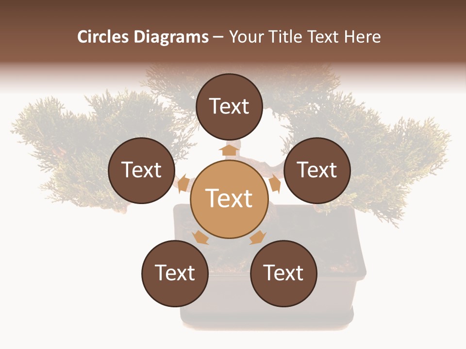 Tree Branch Plant PowerPoint Template