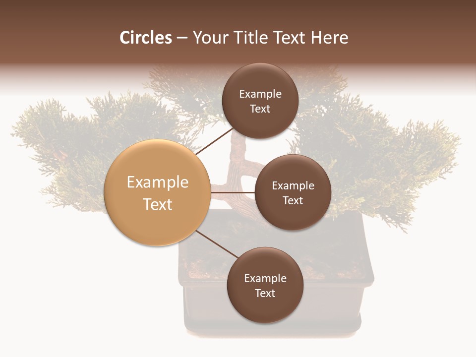 Tree Branch Plant PowerPoint Template