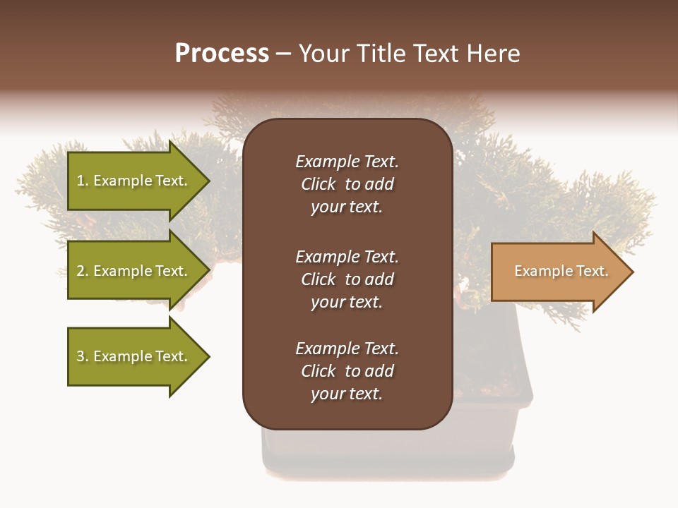 Tree Branch Plant PowerPoint Template