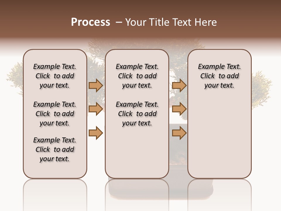 Tree Branch Plant PowerPoint Template