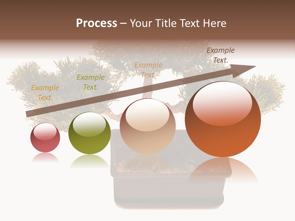 Tree Branch Plant PowerPoint Template