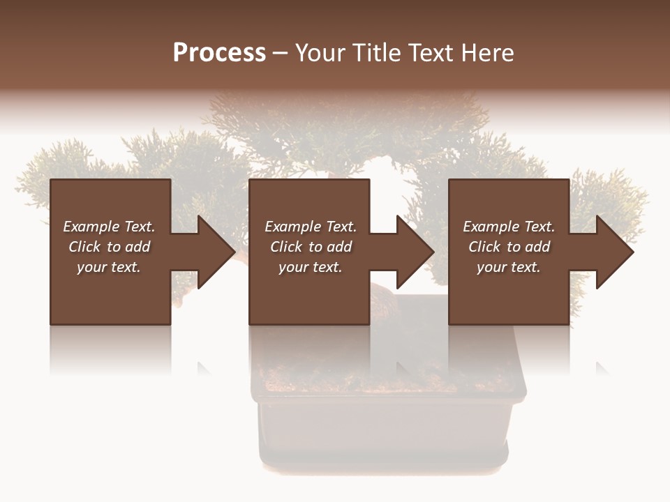 Tree Branch Plant PowerPoint Template