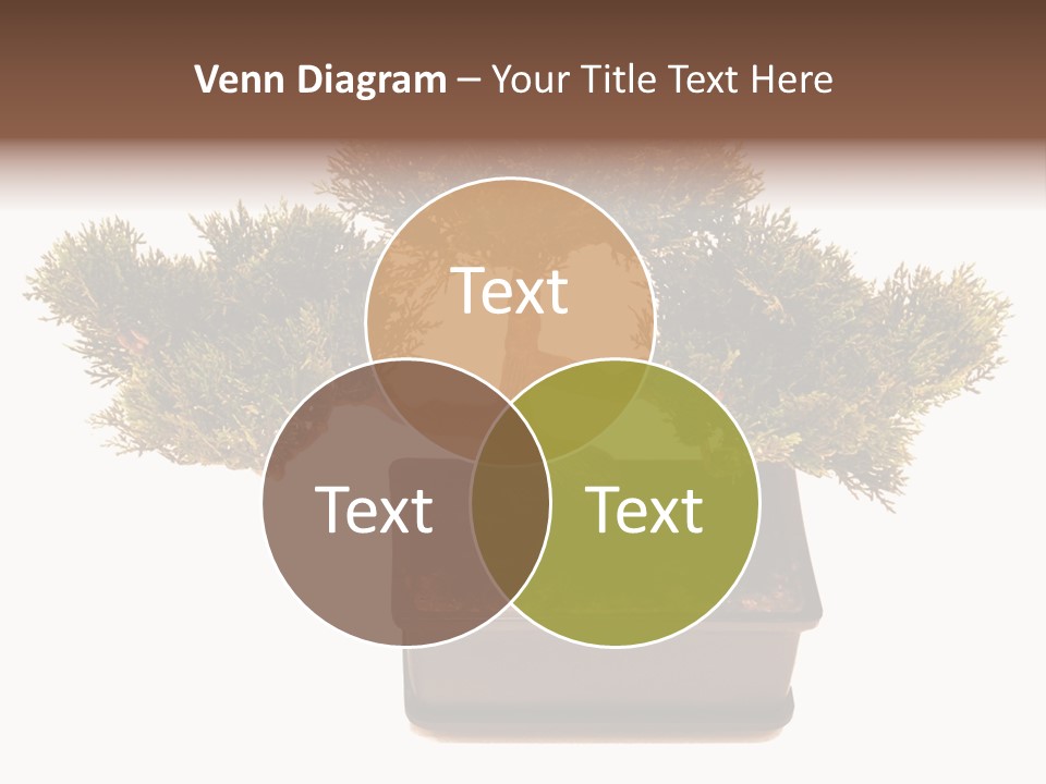 Tree Branch Plant PowerPoint Template