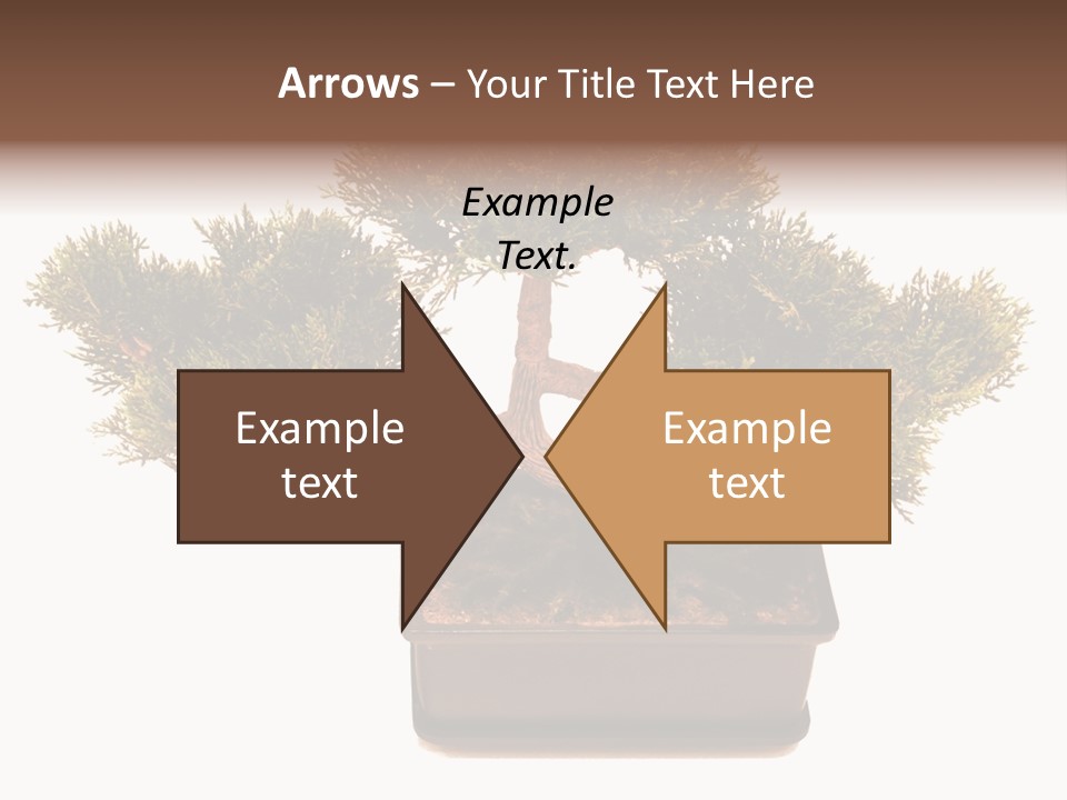 Tree Branch Plant PowerPoint Template
