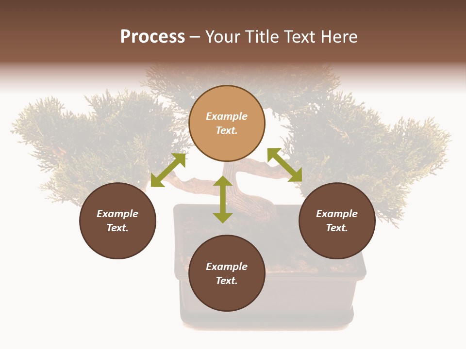 Tree Branch Plant PowerPoint Template