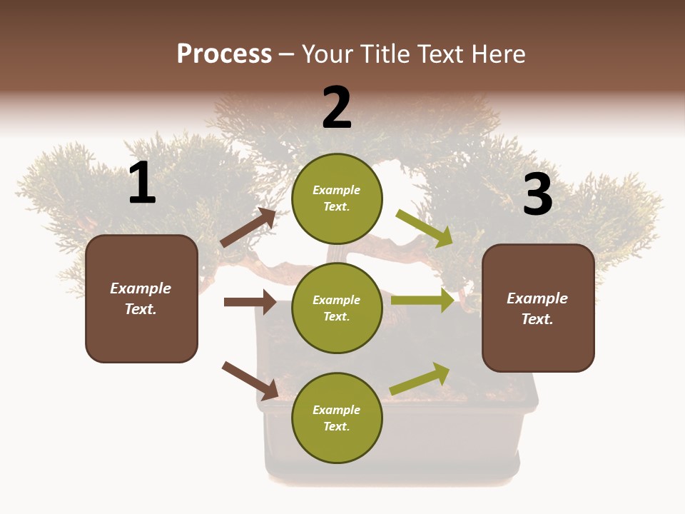 Tree Branch Plant PowerPoint Template