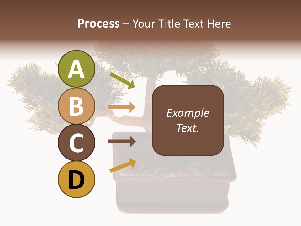 Tree Branch Plant PowerPoint Template