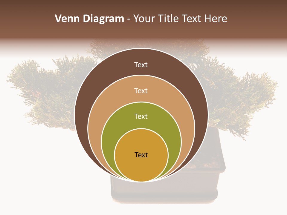 Tree Branch Plant PowerPoint Template
