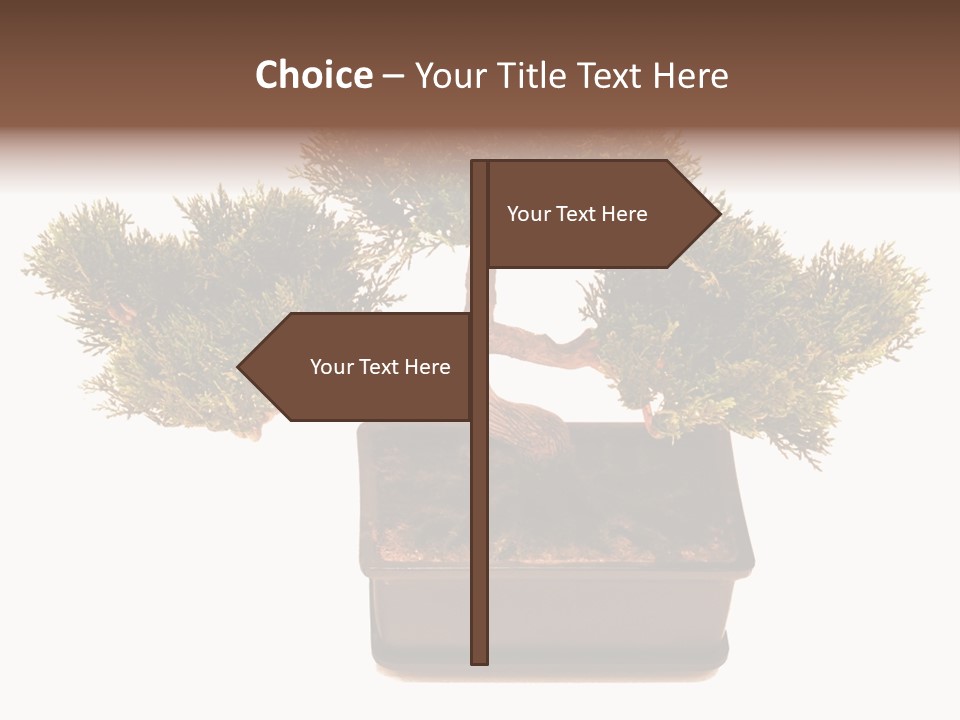 Tree Branch Plant PowerPoint Template