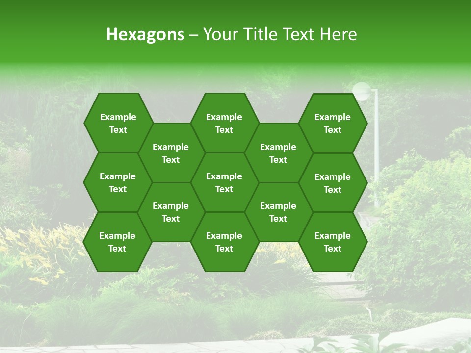 Walkway Public Flower PowerPoint Template