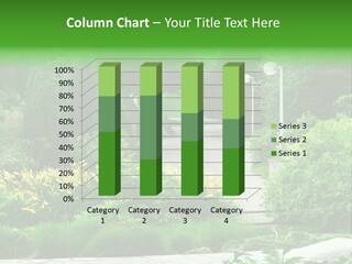 Walkway Public Flower PowerPoint Template