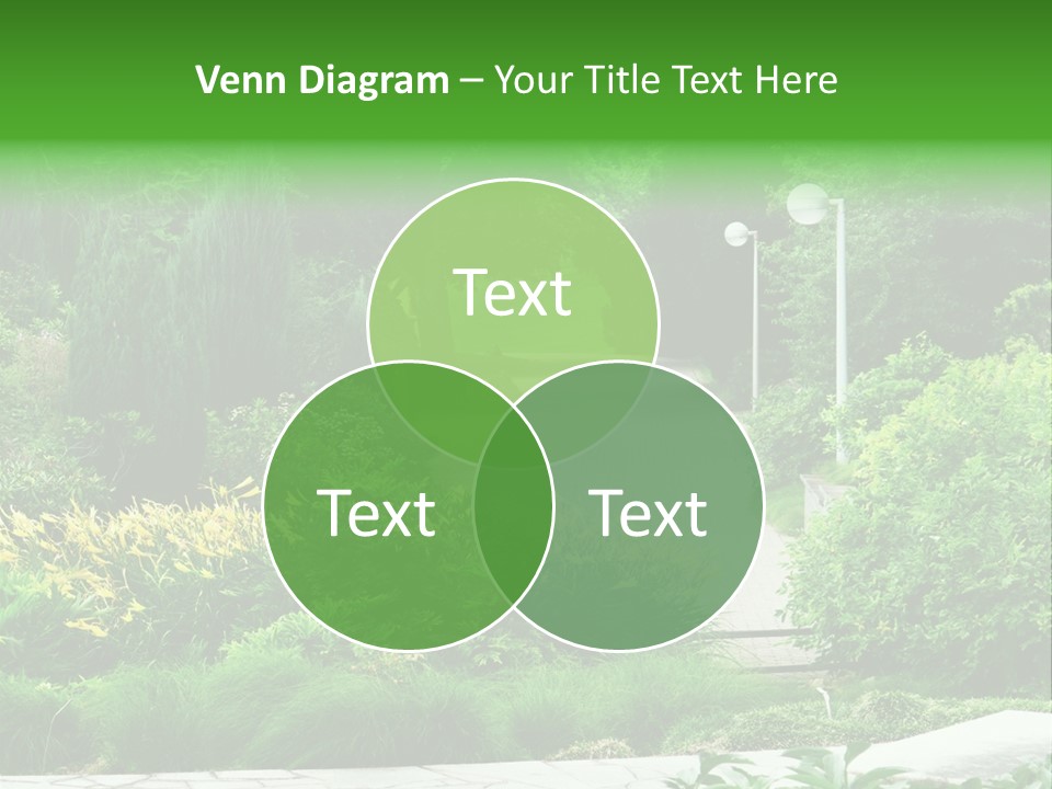 Walkway Public Flower PowerPoint Template