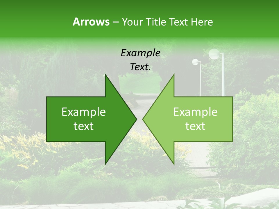 Walkway Public Flower PowerPoint Template