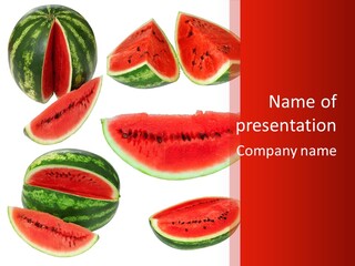 Slice Section Tropical PowerPoint Template