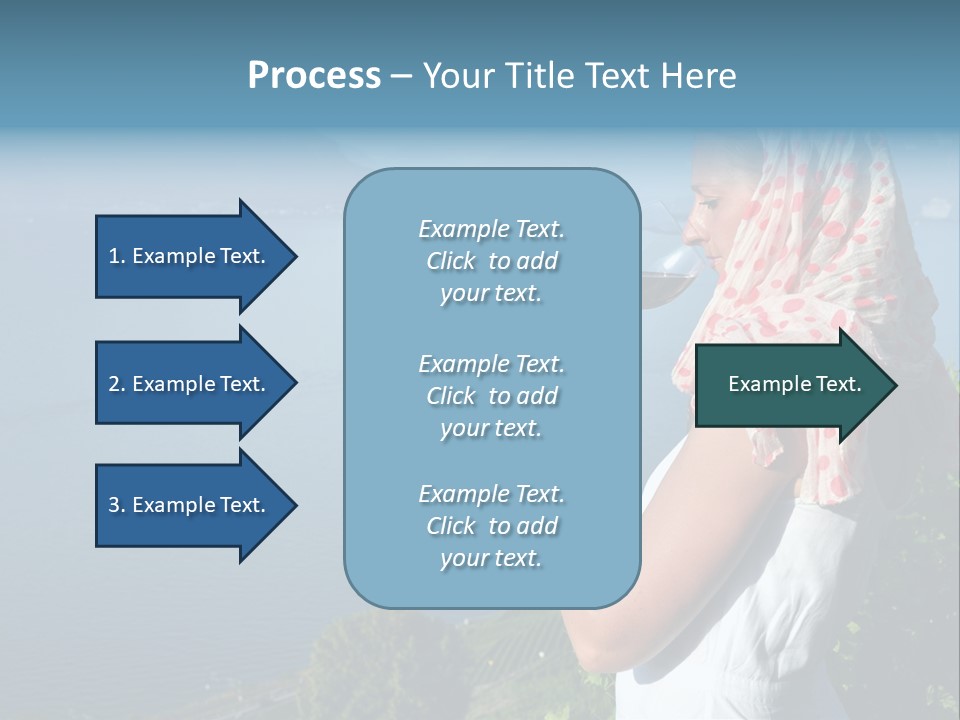 Montreux Winery Drink PowerPoint Template