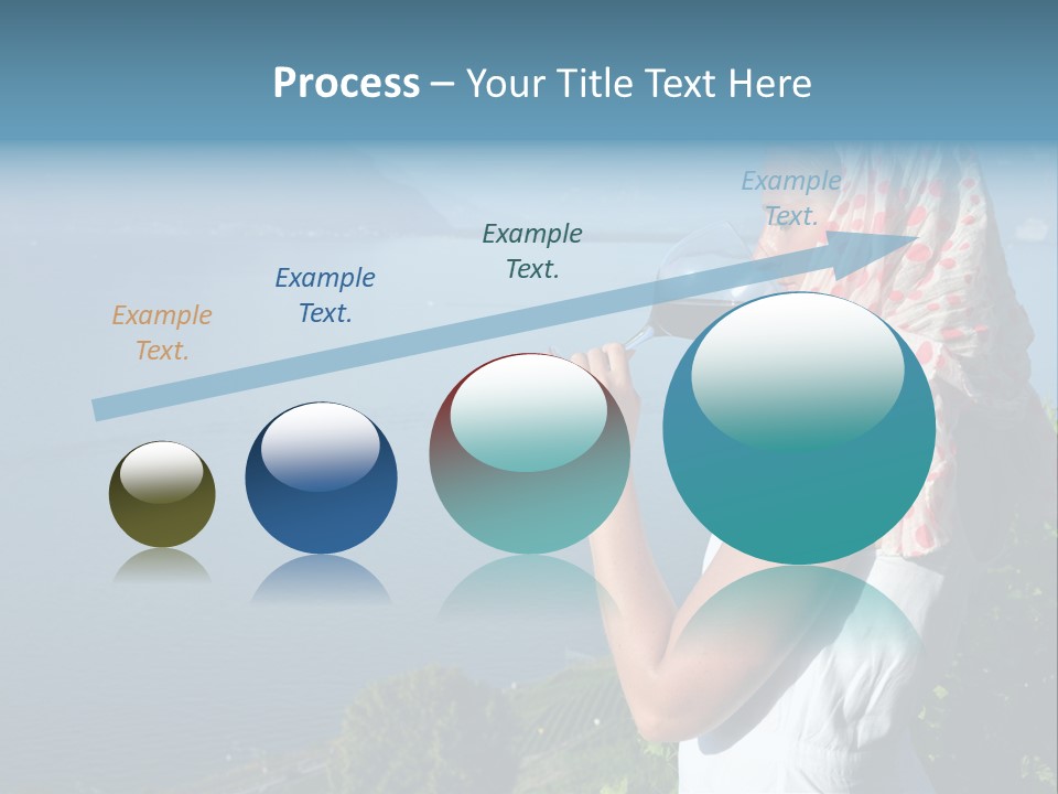 Montreux Winery Drink PowerPoint Template