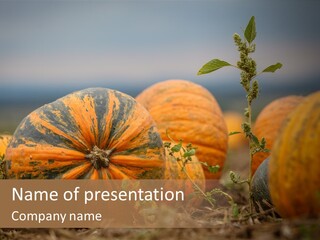 Austria Pumpkin Field PowerPoint Template