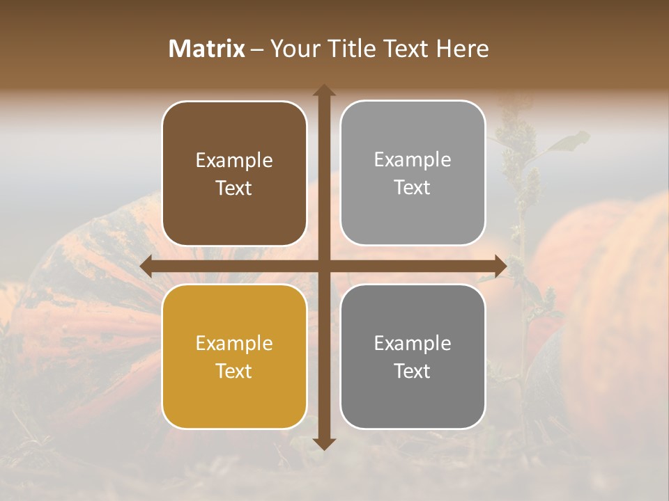 Austria Pumpkin Field PowerPoint Template