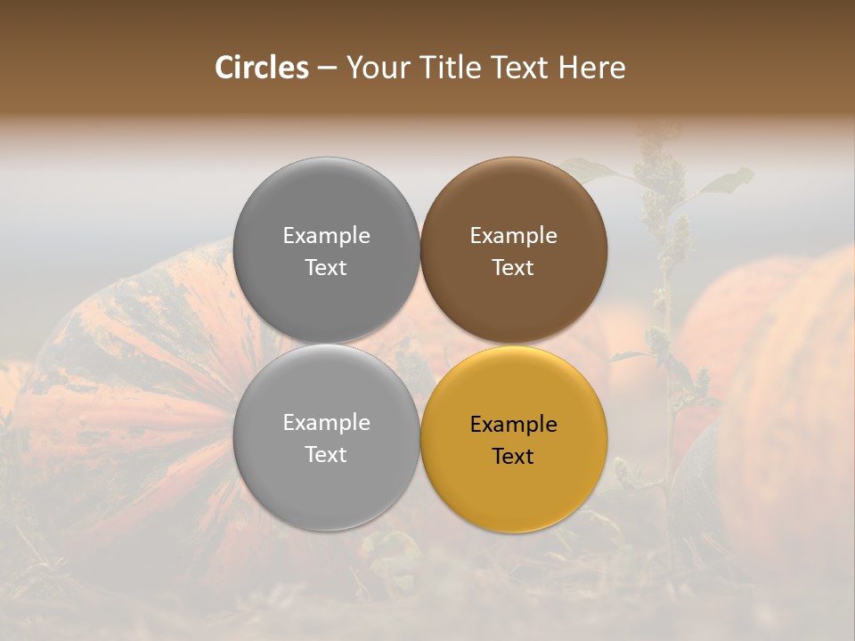 Austria Pumpkin Field PowerPoint Template
