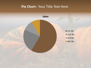 Austria Pumpkin Field PowerPoint Template