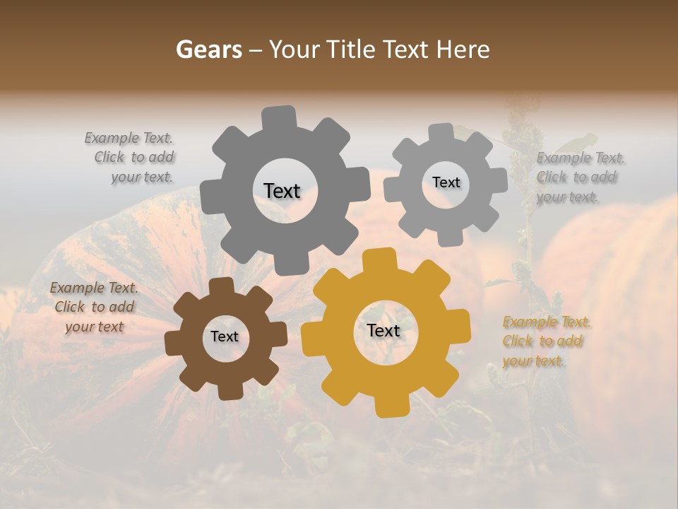 Austria Pumpkin Field PowerPoint Template