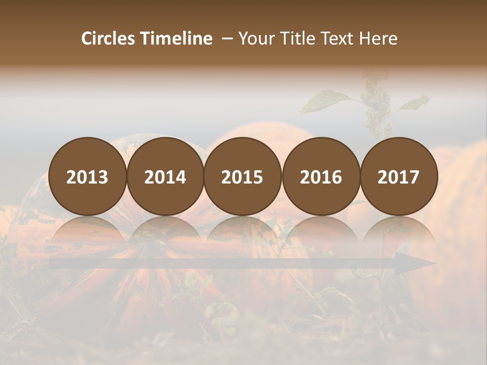 Austria Pumpkin Field PowerPoint Template