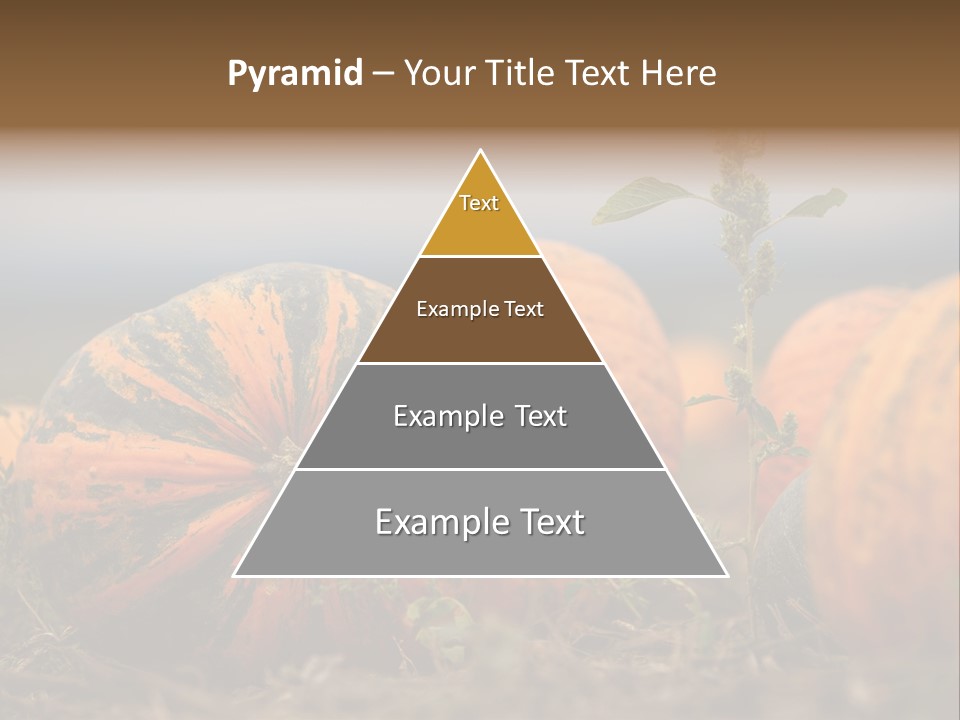 Austria Pumpkin Field PowerPoint Template