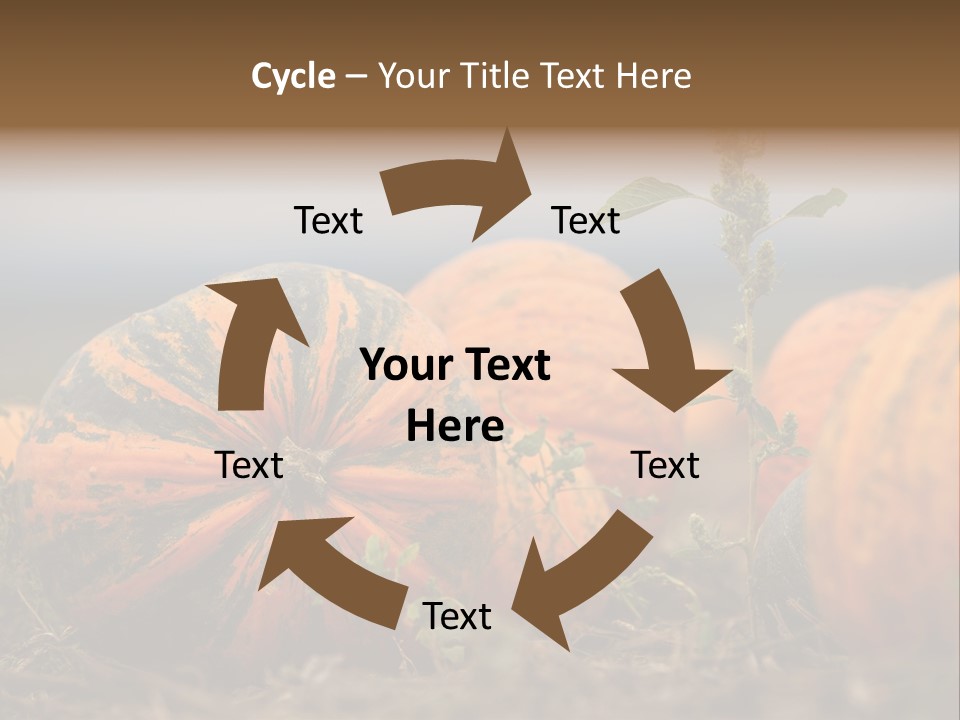 Austria Pumpkin Field PowerPoint Template