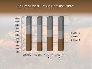 Austria Pumpkin Field PowerPoint Template