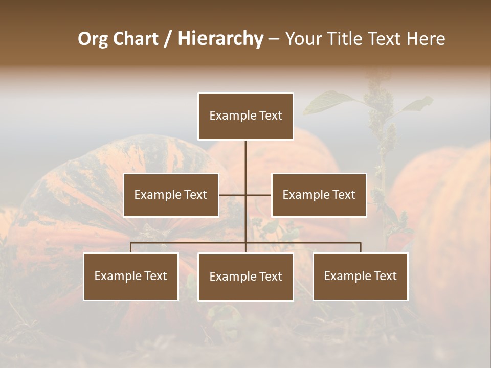 Austria Pumpkin Field PowerPoint Template