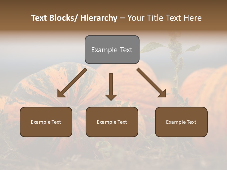 Austria Pumpkin Field PowerPoint Template