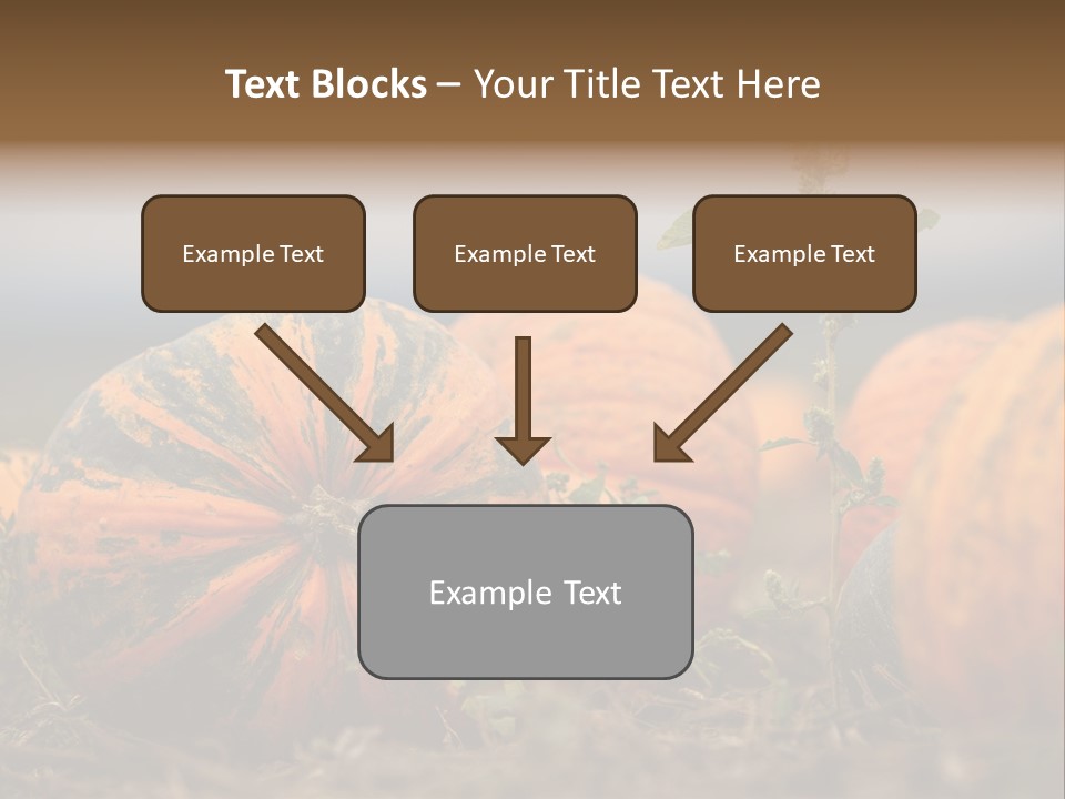 Austria Pumpkin Field PowerPoint Template